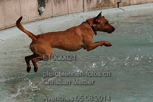 Details Kategorie: Avenches 05.08.2014